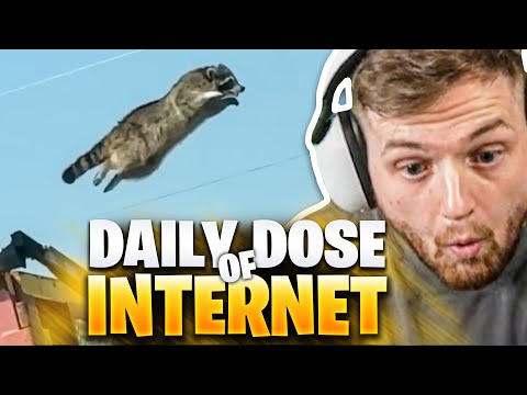 😍😨WASCHBÄR wird zu SUPERHELD im neuen DAILY DOSE! | Trymacs Stream Highlights