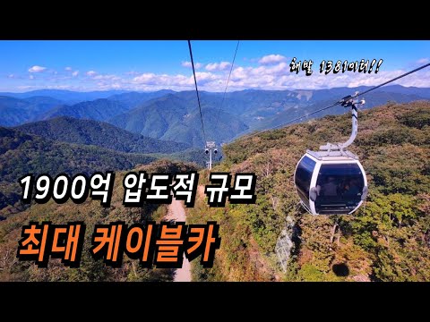 5500원으로 해발 1381m 정상에! 1900억원 압도적 스케일 / 내년은 미결정/ 올해 꼭 가보세요!