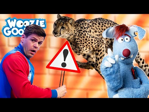 Was ist richtig schnell? l WOOZLE GOOZLE