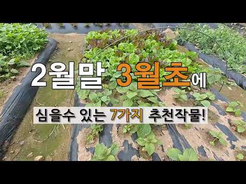 7 recommended crops to plant in late February and early March! #WeekendFarmGardening