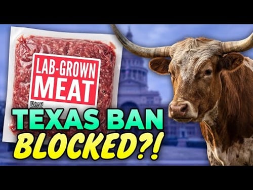 BREAKING: Federal Court THREATENS Texas Cattle Industry With Lab Meat!