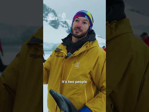 What really happens you CAMP in Antarctica 👀 #shorts