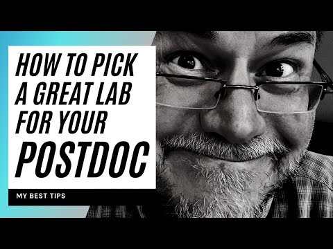 How to pick a great host lab for your postdoc #postdoctoralresearch #postdoc