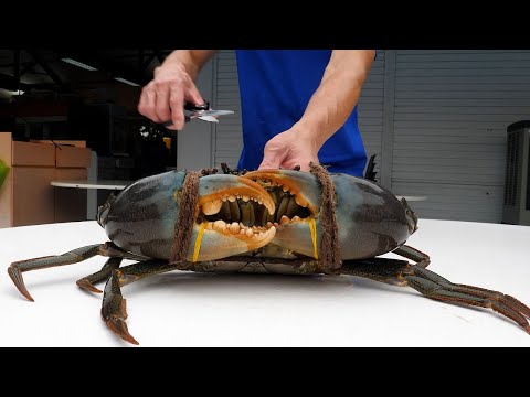 Giant Indian Chili Crab, Giant Okinawa Coconut Crab, Mangrove Crab
