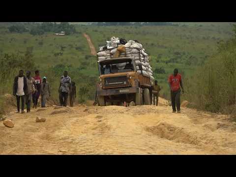 Surviving the Congo River: A Journey Like No Other