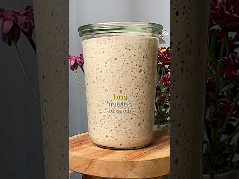 The Bee Bread Connection 🍞🐝