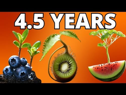 Growing Plants 4K Time Lapse Compilation (~4.5 Years)