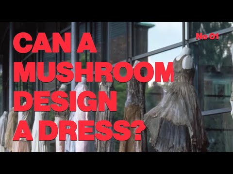 No 01 | Fashion & Fungi