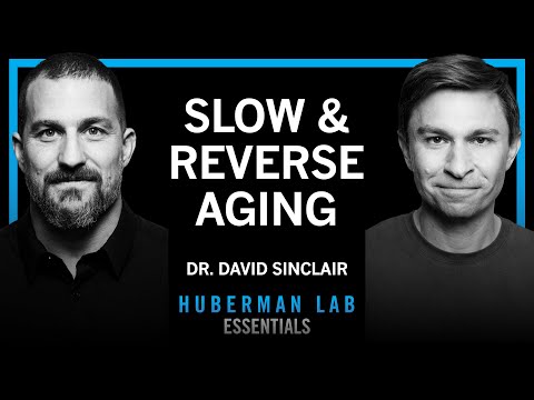 Essentials: The Biology of Slowing & Reversing Aging | Dr. David Sinclair