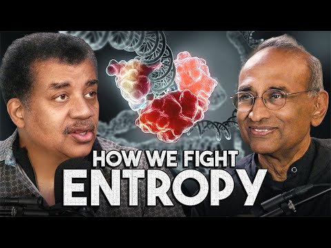 Can Life Beat Entropy?