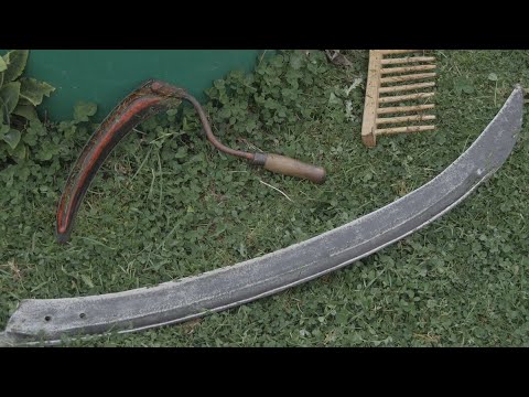 Traditional scything: first lawn cut of 2022