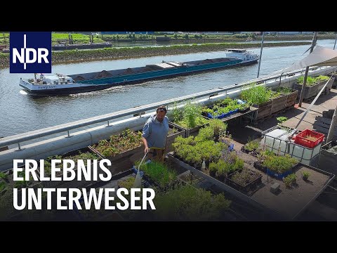 Unterweser: Mit Hafenkante, Großstadtflair und Inselidylle | die nordstory | NDR Doku