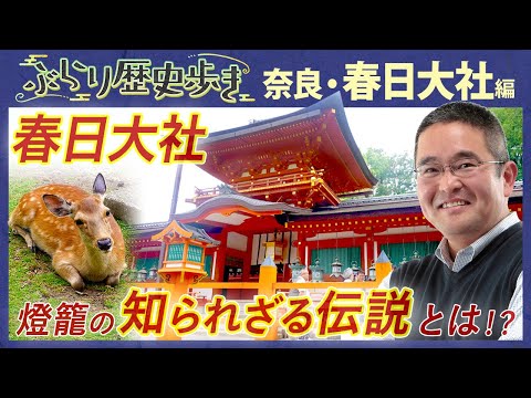【春日大社の歴史】世界遺産 春日大社のココは抑えたい歴史スポットをご紹介‼ 村瀬先生のぶらり歴史歩き 奈良・春日大社 前編
