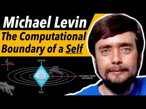 What are Cognitive Light Cones? (Michael Levin Interview)