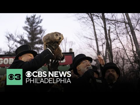 Live stream: Groundhog Day 2026