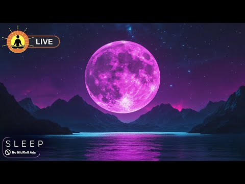 This livestream has ended. We will release a new version of this livestream soon. See link below.