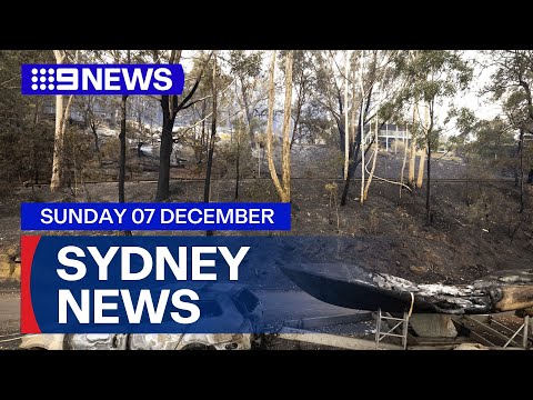 9News Sydney | Sunday December 7 | Full Episode