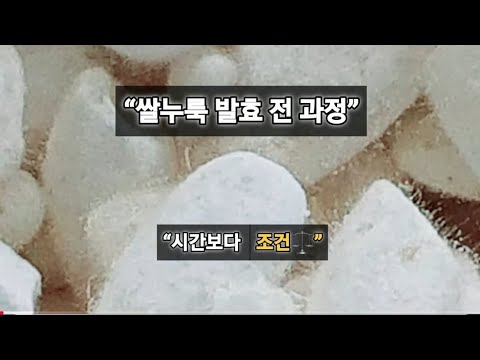 👉⚪️쌀누룩 발효 전 과정 🌸 시간보다 중요한 건 상태와 조건 | Rice Koji Making