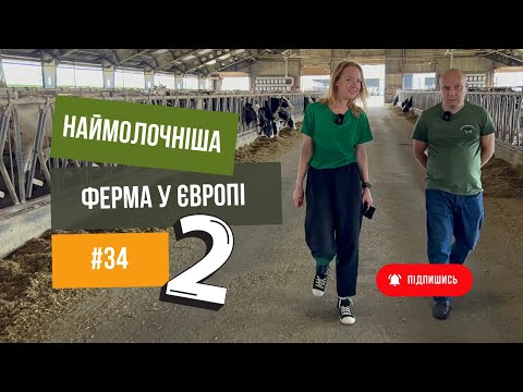 #34 Наймолочніша 🐄 ферма у Європі -2 частина. Розкажемо, як годують та доять корів 🐮