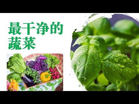十种最干净的蔬菜和水果,2021年农药残留最低的蔬菜和水果