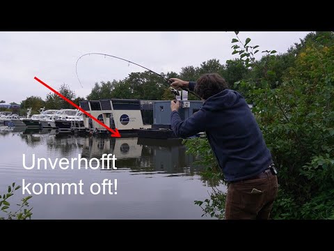 HUGE catches unplanned!