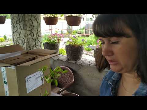 Долгожданная посылка из ОПТ-ХОЗ