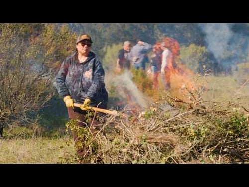 Cultural burning returns to Jasper Ridge