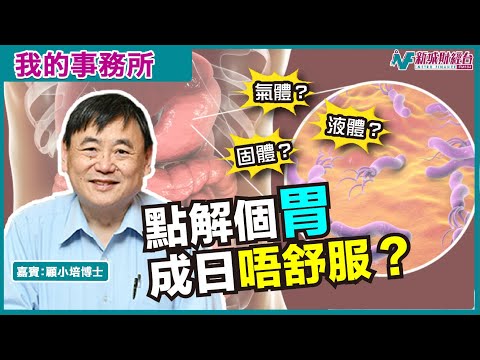 【我的事務所】胃谷氣好唔舒服?食抗生素都冇用?試下食呢樣嘢!|顧小培 劉婉芬