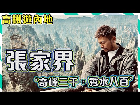 【高鐵遊】🍃 張家界、鳳凰古城五日四夜自由行! ! 📒阿凡達取景漂浮山景🤤超美味農家菜 寨子裏的缽缽菜 🤩精彩表演歌舞表演《魅力湘西》|Zhangjiajie Travel Vlog