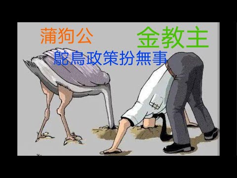 【下午杏花村】鳳雛出聲明驚天動地,蒲狗公土行孫縮骨遁地,金家人借大肥轉移視線,鴕鳥政策扮無事?