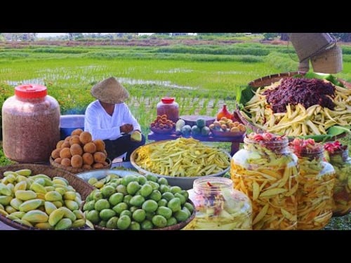 Green Mangoes & Shrimp Paste — What to do when you cant eat 'em all? Preserve & enjoy allyear round!