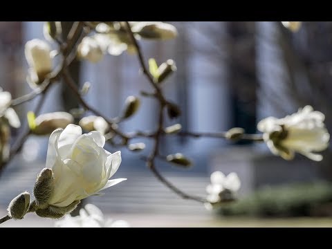 Spring on Campus