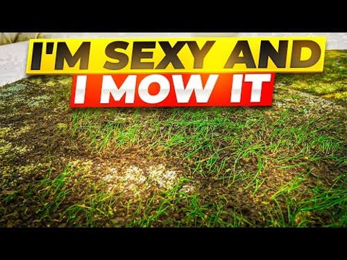 Not Sure Whether To Clean It Or Mow It ! But Can It Be Cleaned ?