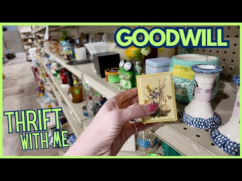 Most Fun Thing at GOODWILL | Thrift With Me | Reselling