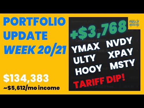 Portfolio Update Weeks 20–21 | Dividends, Performance & My Strategy During Tariff Dip