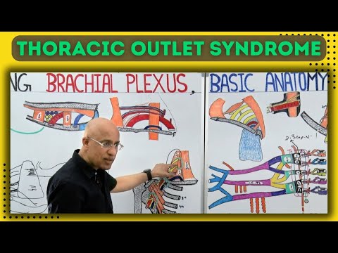 Thoracic Outlet Syndrome | TOS | Anatomy