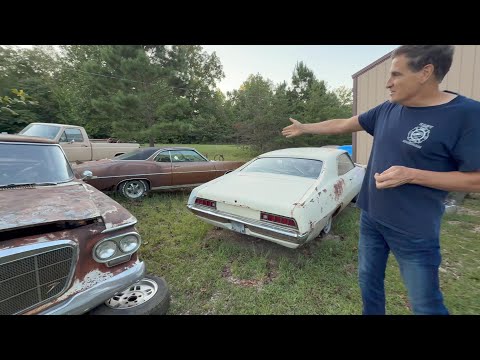 The tale of two Torinos. Why we chose Nothing Special.