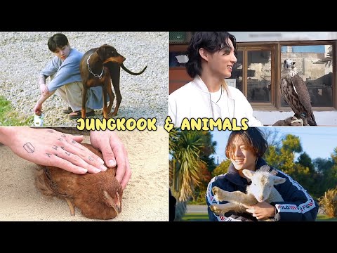 Jungkook and Animals