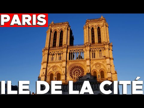 Discovering Paris Neighborhoods - At the Roots of Paris, the Ile de la Cité