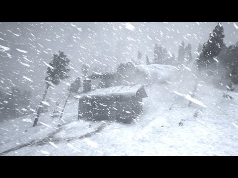MERCILESS POLAR STORM with EXTREME WIND and BLIZZARD SOUNDS | SLEEP & RELAXATION AMBIENCE
