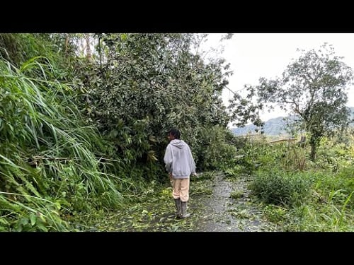 SUB TO THE JERK WAH?|utech vlog#3 interrupted by melissa ft unc