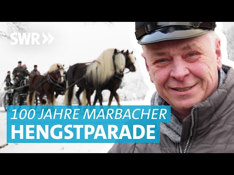 100 Jahre Hengstparade am Gestüt Marbach: Zwischen 10er-Gespann Pferdekutschen und Fohlen
