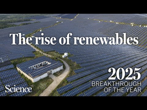 How cheap renewable energy is finally flattening emissions