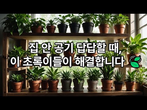 집 안 공기 답답할 때, 이 초록이들이 해결합니다 🍃