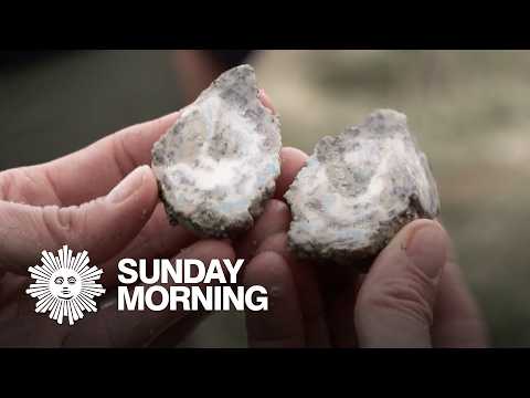 Unique hobbies and professions