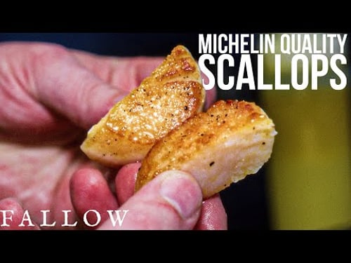 How to Cook Perfect Scallops Every Time