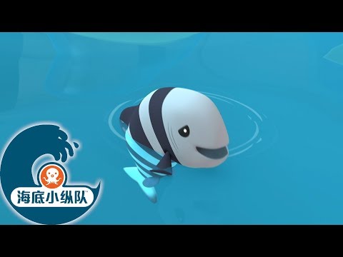 海底小纵队 - 顽皮的强盗鱼 | 海底探险