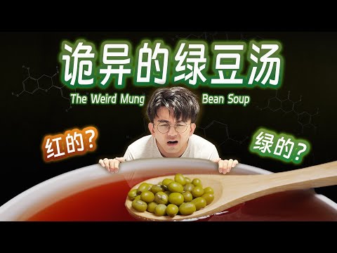 【毕导】爆煮一个月绿豆汤!我正式终结绿豆汤的红绿之争! #冷知识 #科普 #科学