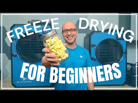 Beginners Guide To Freeze Drying!