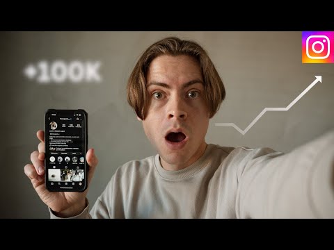 I Posted A Reel Everyday For 100 Days (RESULTS + Instagram Growth Tips)